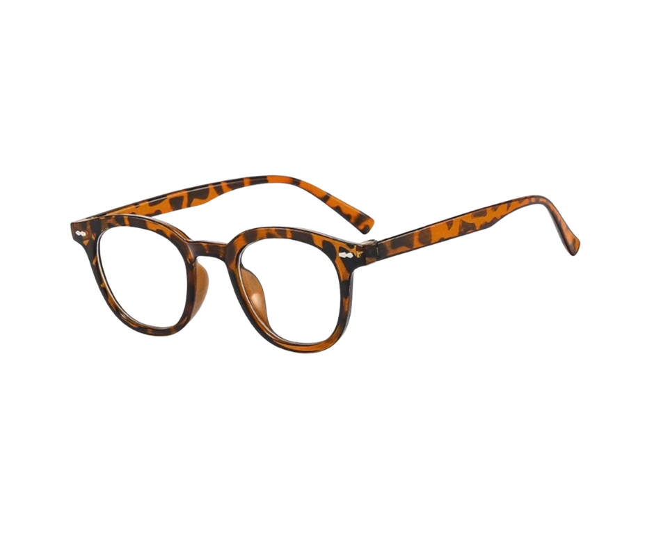 FrameX in Leopard